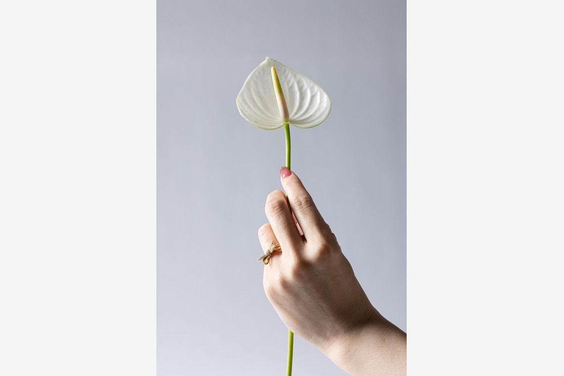 株式会社Def.proが撮影した「ブツ撮り」の写真