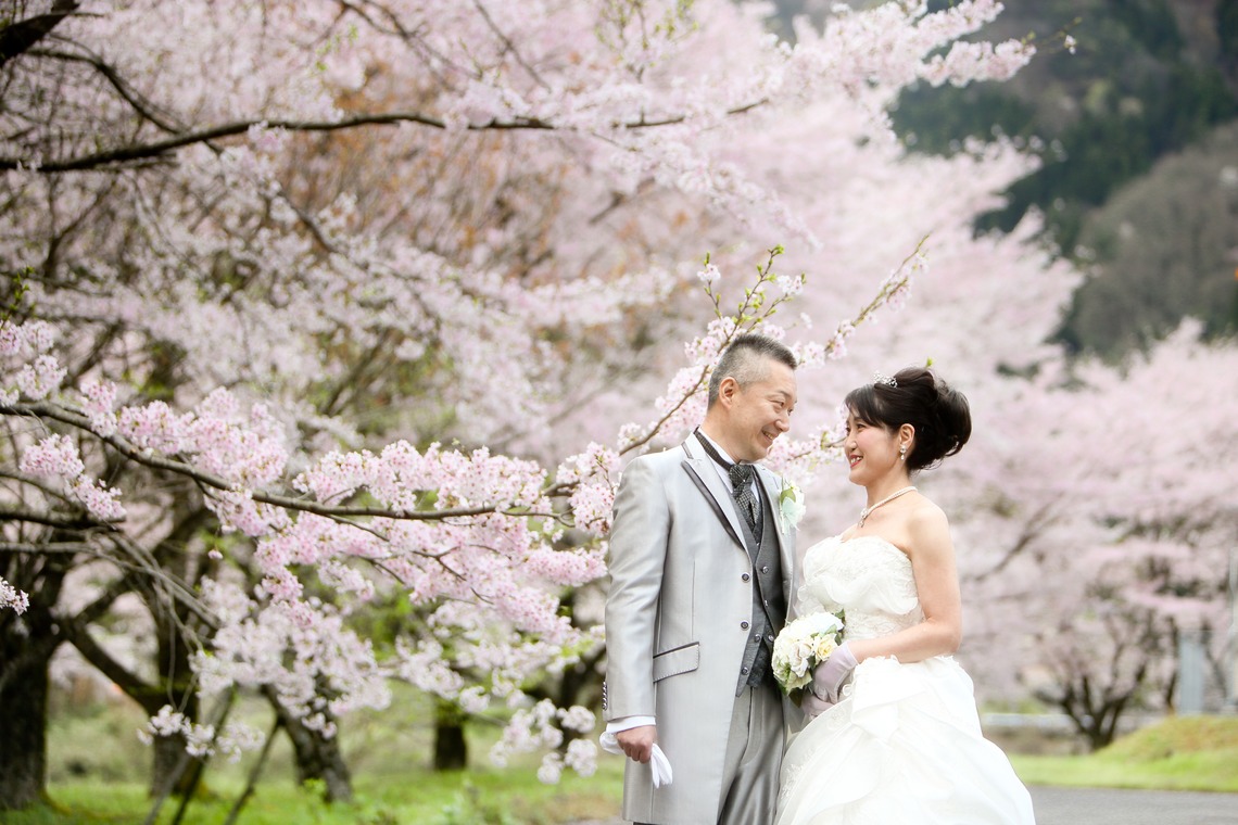 KIKIウェディングが撮影した写真のアルバム「桜　桜　桜」
