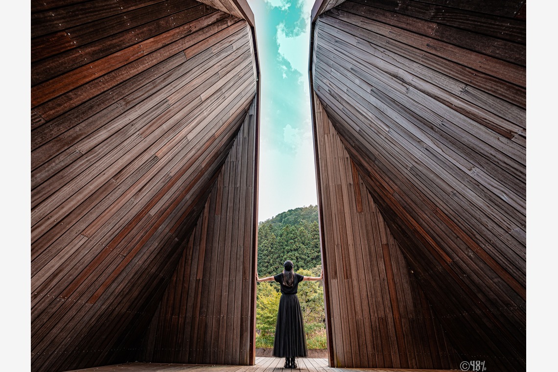 NocapVPGが撮影した「48％」の写真