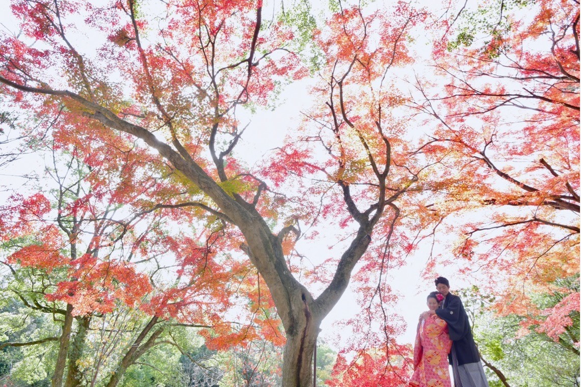 Album of the Wedding, Bridal taken by Kiki photo works - Pre Weddingphotoshoot in Nara Park