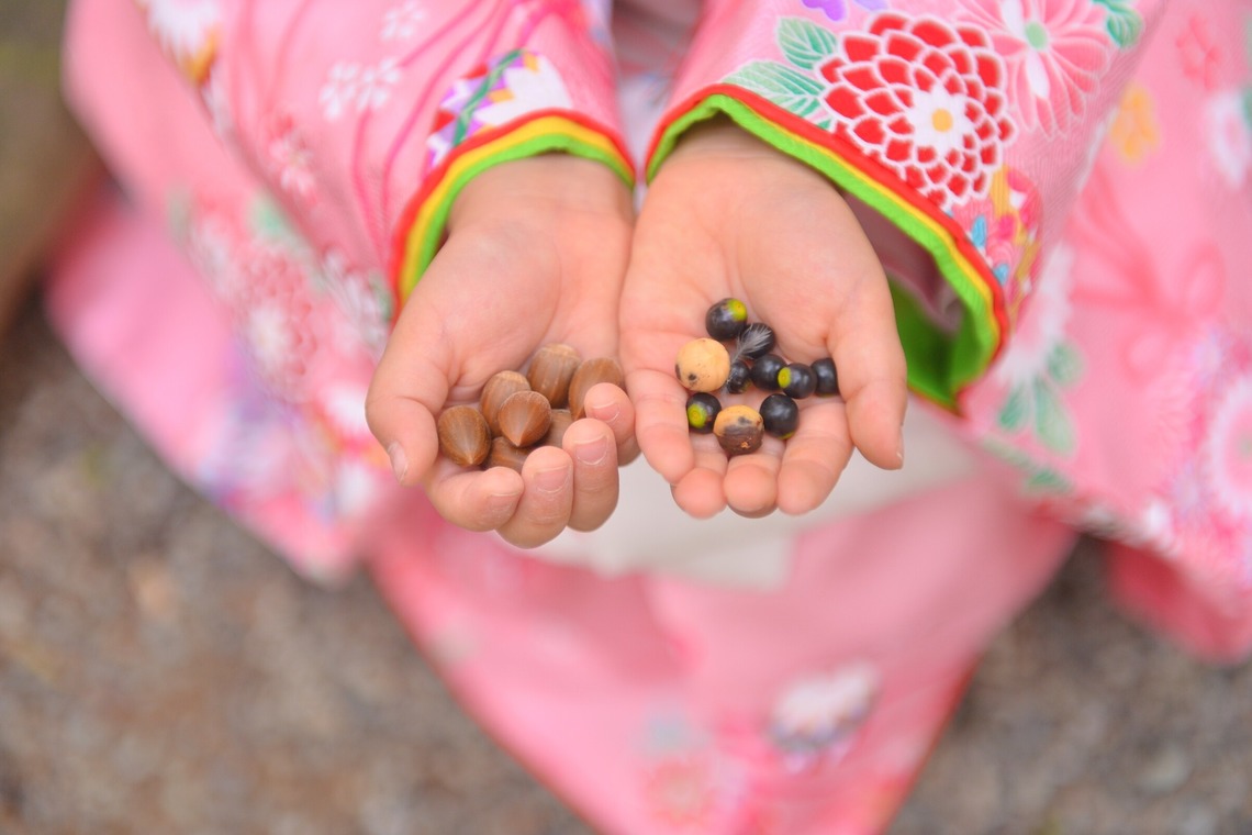 OUTDOOR STUDIOが撮影した「神社、芝公園」の写真