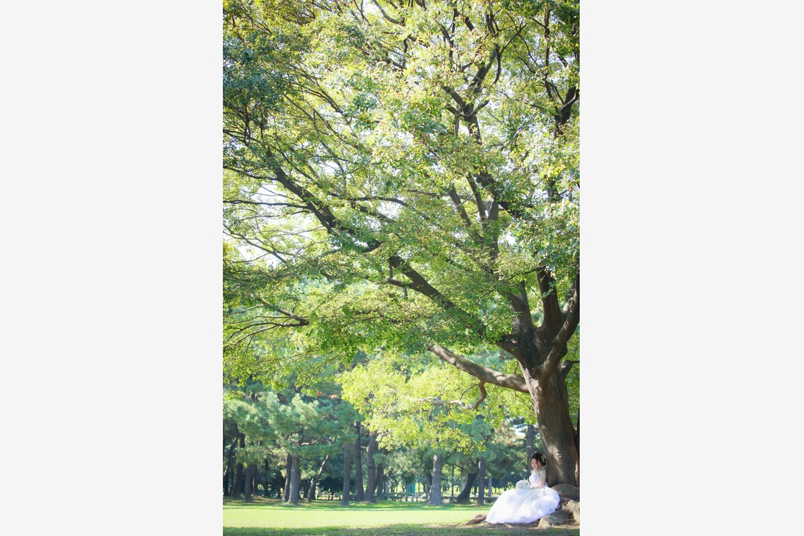 Photo of  taken by WEDDING AVENUE