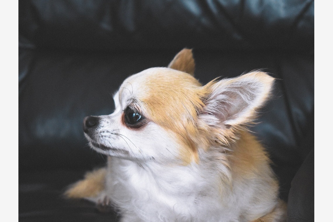 宮腰流弥が撮影した「過去作品」の写真