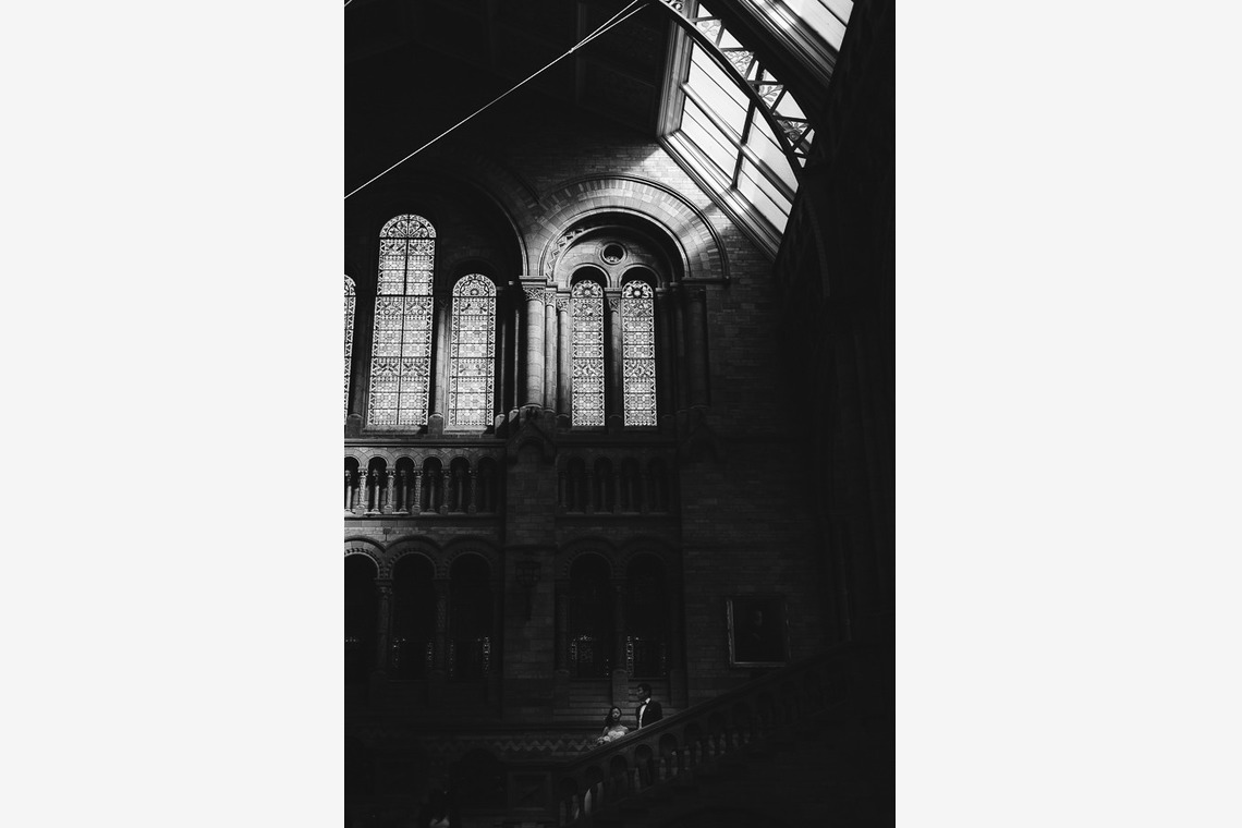 Takako Drew Photographerが撮影した「フォトギャラリー」の写真