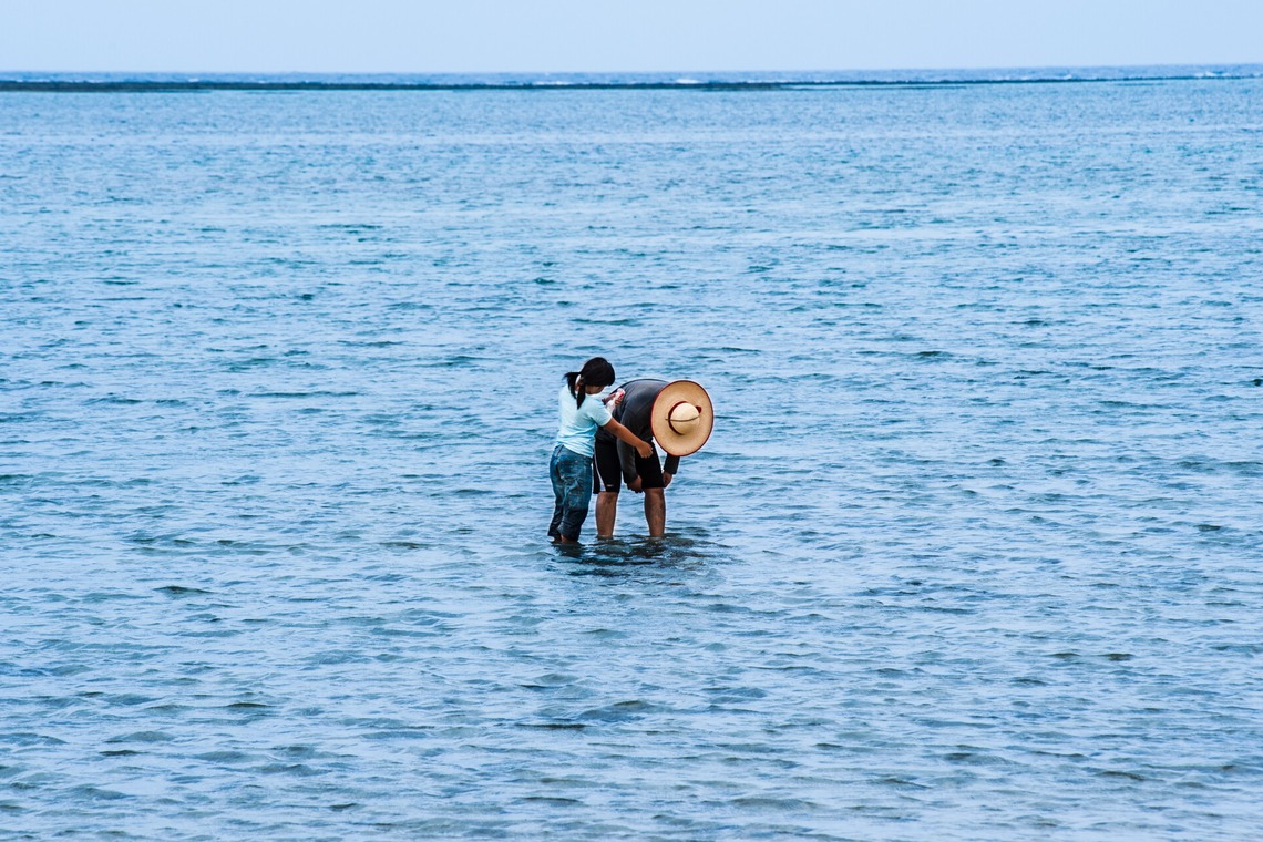 有光こうじ写真事務所が撮影した「風景写真」の写真