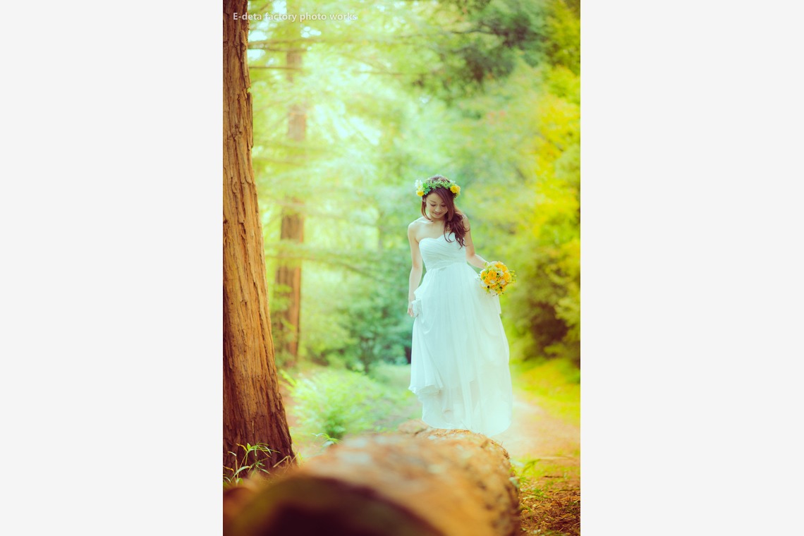 E-DETA FACTORY(出田憲司)が撮影した写真のアルバム「大阪/交野市」