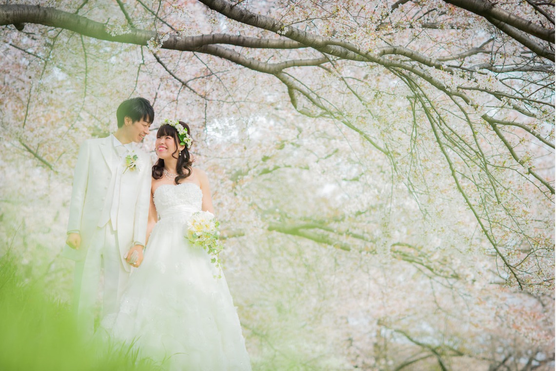 E-DETA FACTORY(出田憲司)が撮影した写真のアルバム「大阪/桜」