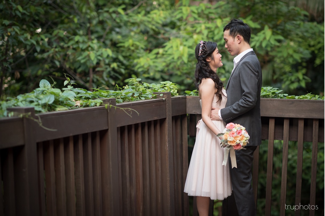 Truphotosが撮影した「シンガポール」の写真