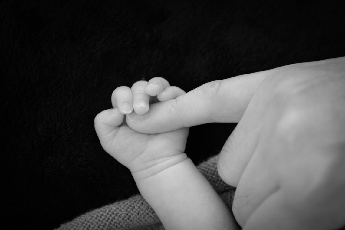 アラタンホヤガが撮影した写真のアルバム「ニューボーンフォト」