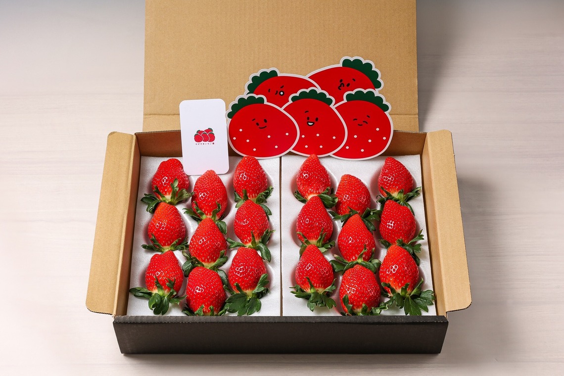 株式会社Neo-Smile 「locationbreeze」高橋 徹が撮影した写真のアルバム「かがやきいちご園様（広告撮影）」