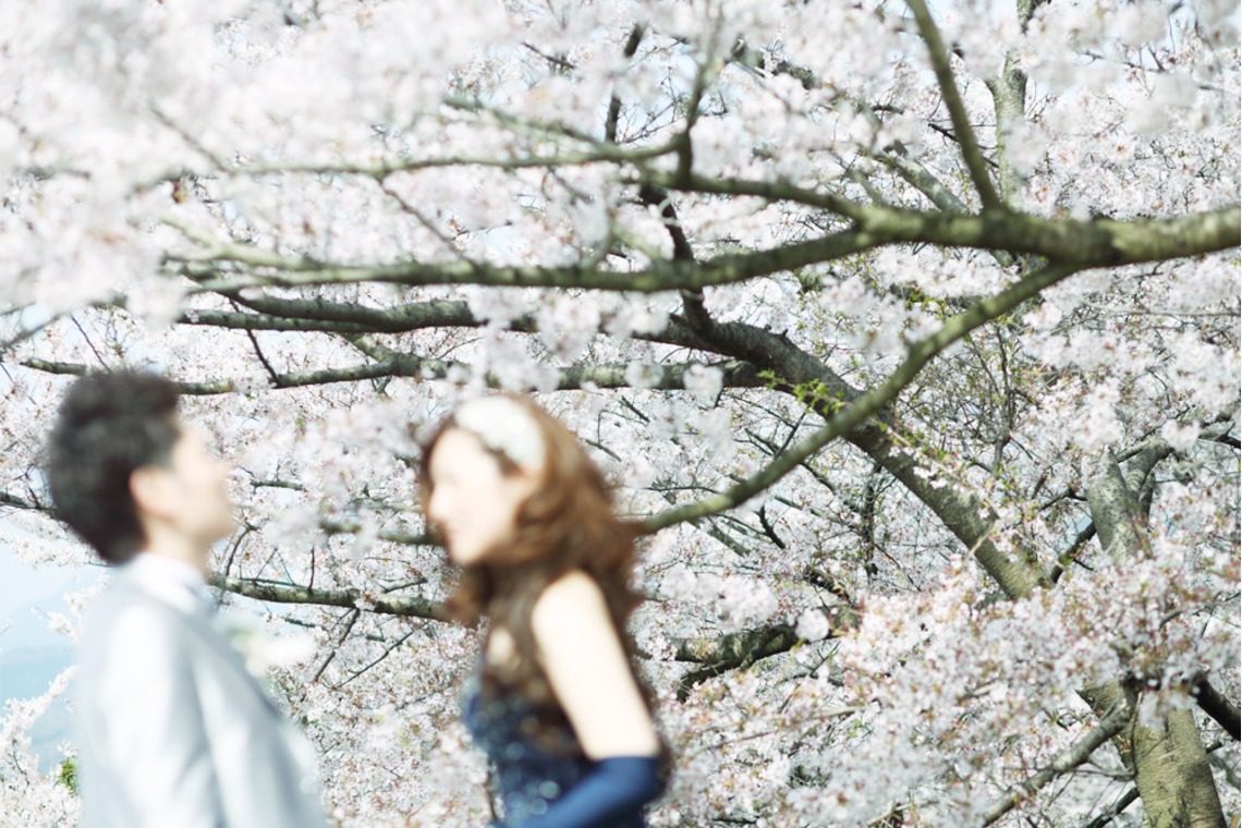 HIROYUKI KUMA PHOTOGRAPHYが撮影した「フォトギャラリー」の写真