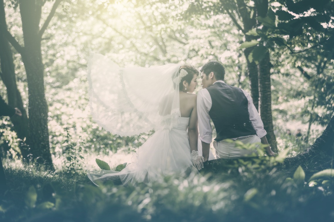 藤本 健史（STUDIOZERO）が撮影した「」の写真