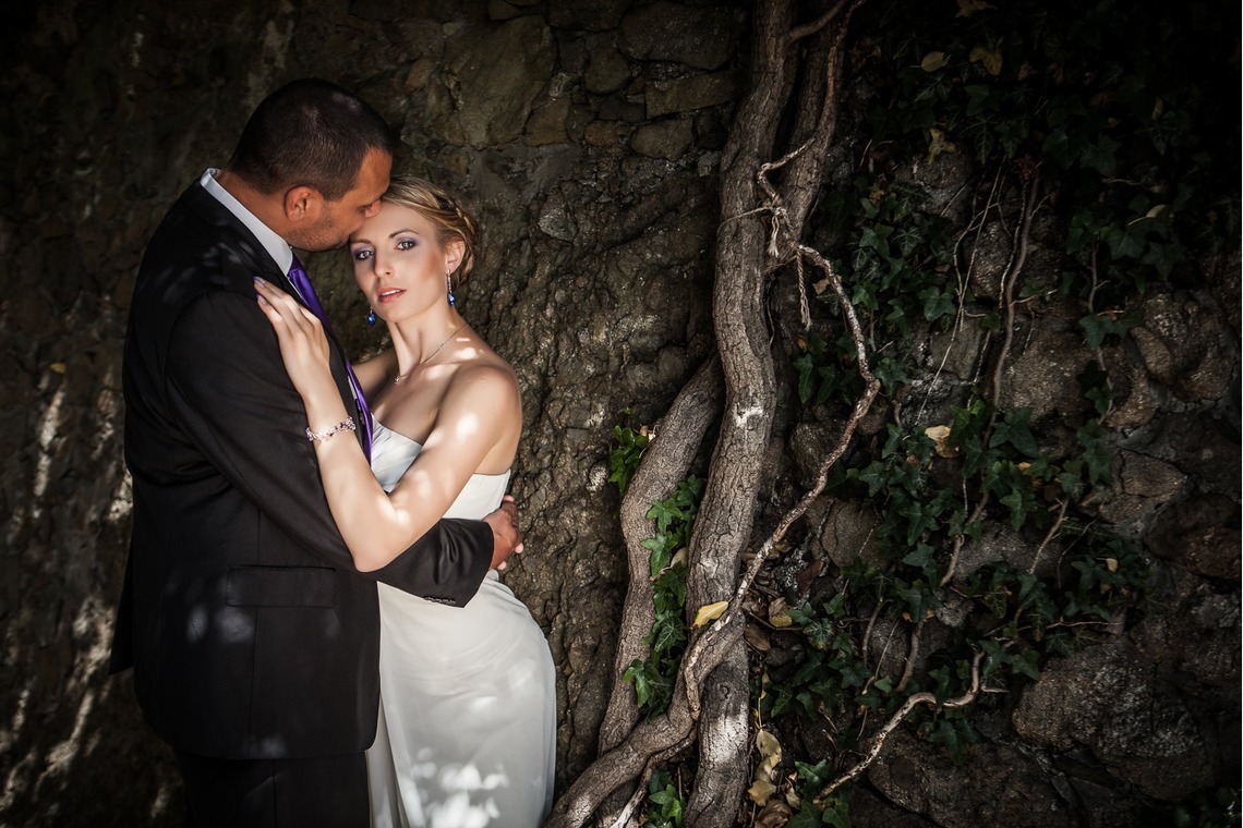 Wedding Photography Dubaiが撮影した「ドバイで???カメ」の写真