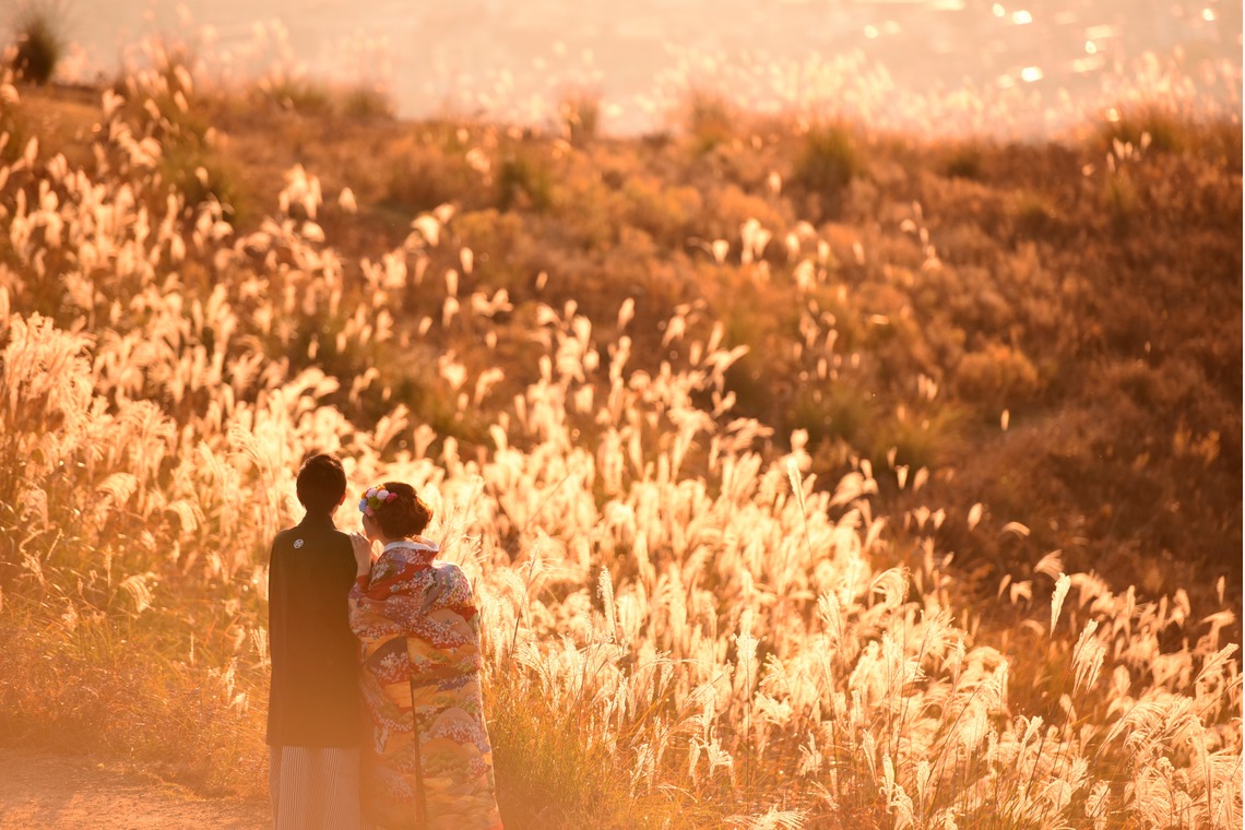 キキフォトワークスが撮影した写真のアルバム「秋の奈良公園で和装前撮り」