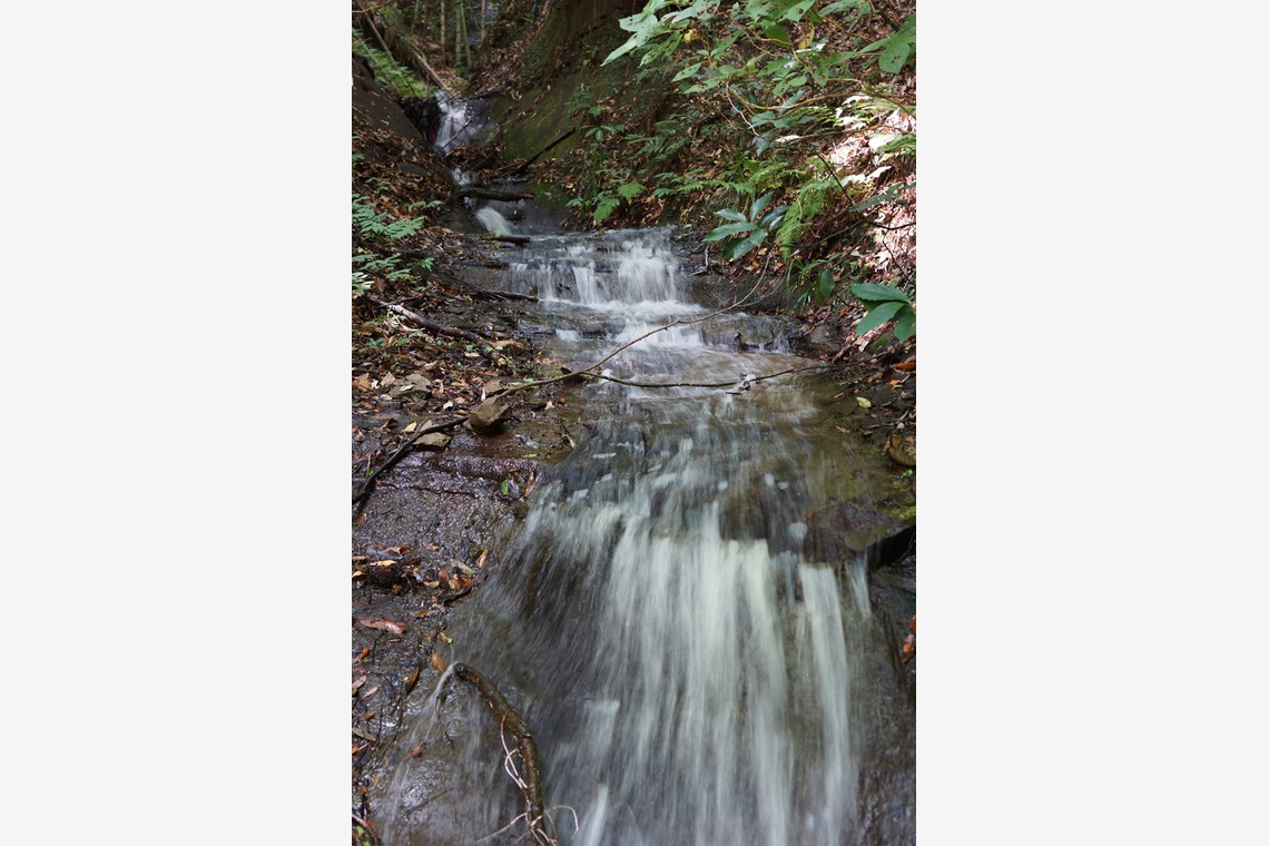 出張撮影のメモリーズが撮影した写真のアルバム「nature-アラカルト」
