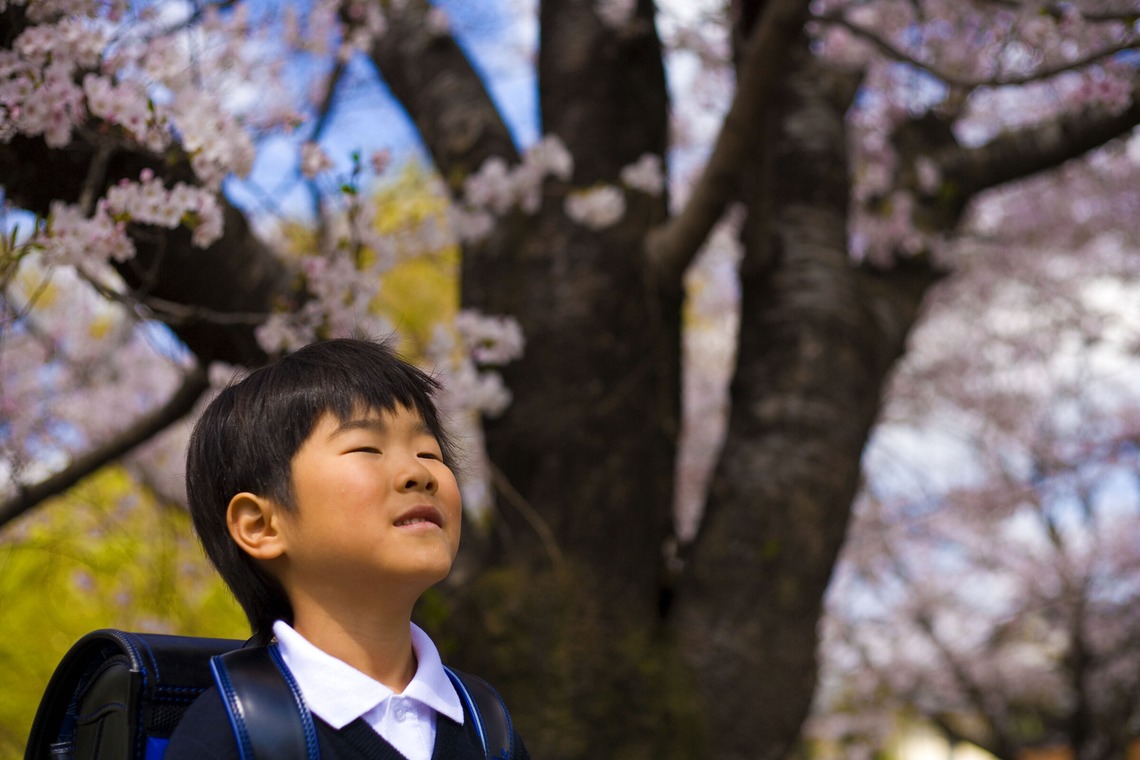 WithshopJapanが撮影した写真のアルバム「ファミリーフォト」