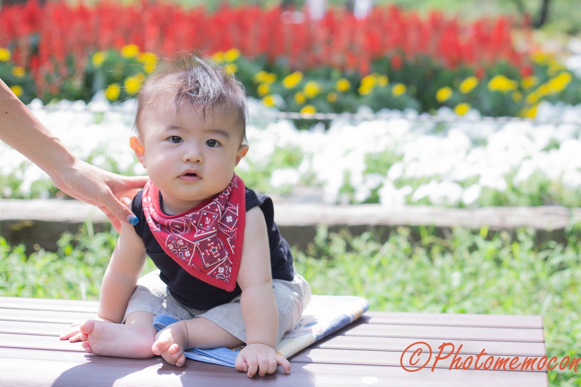 Photomemoconが撮影した「」の写真