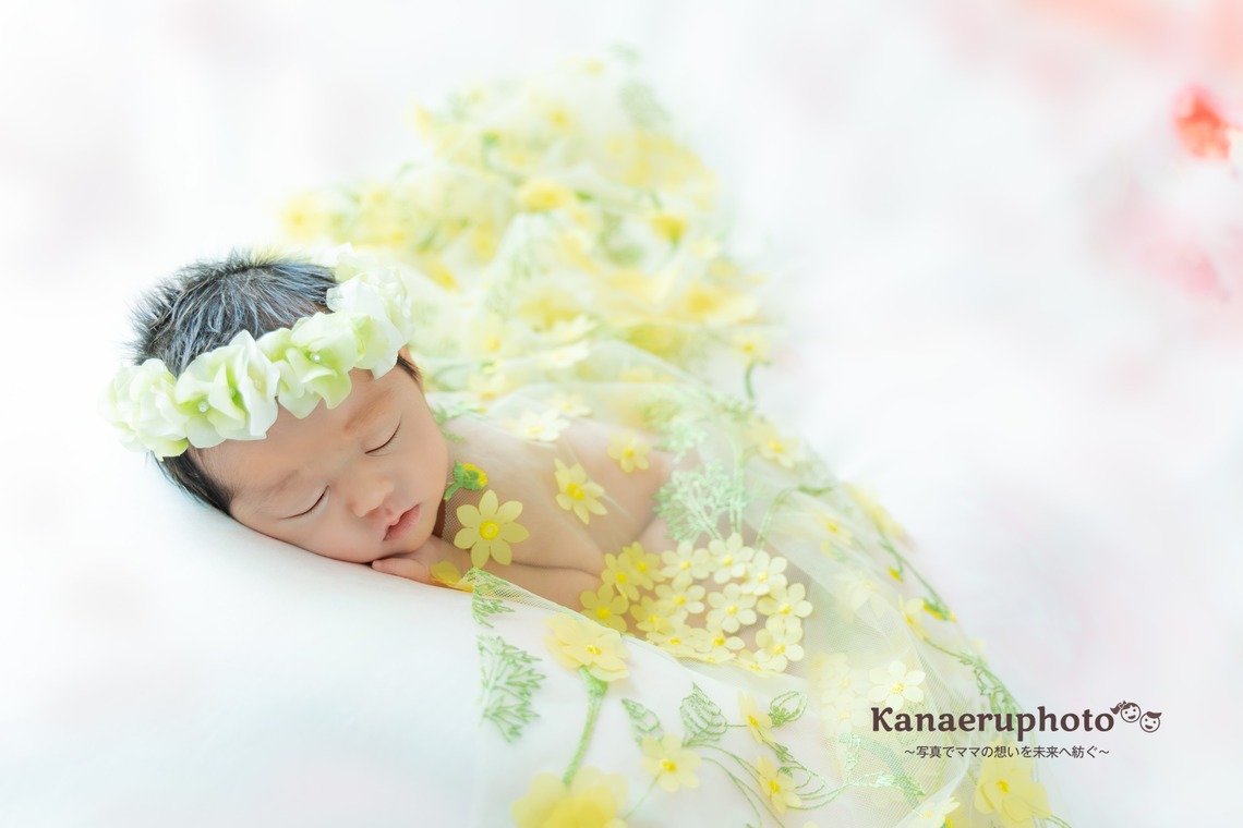 Kanaeruが撮影した写真のアルバム「赤ちゃん誕生の感動を写真に込めて」