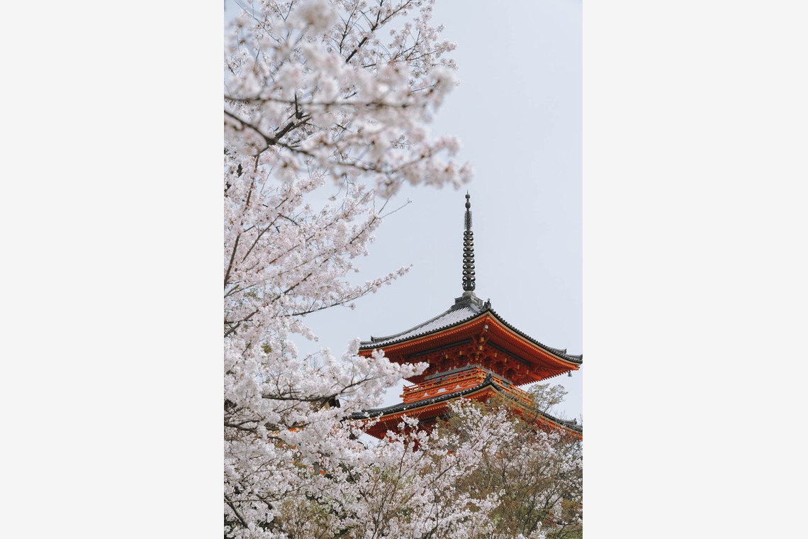 三谷 朋也が撮影した「日本の風景」の写真