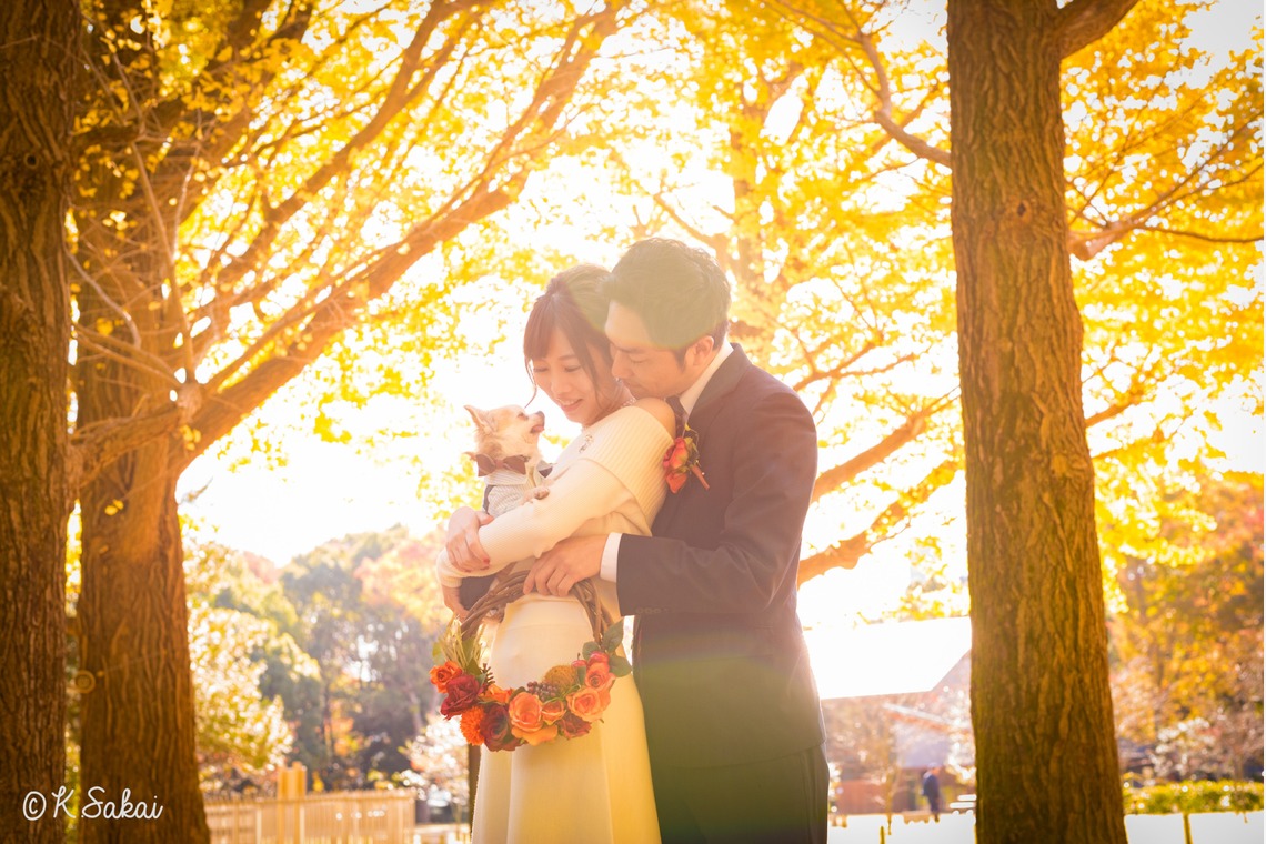 Photo of Engagement Photos taken by kohei