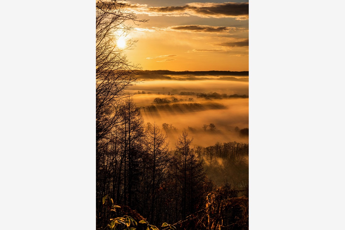高木勇斗が撮影した「風景」の写真