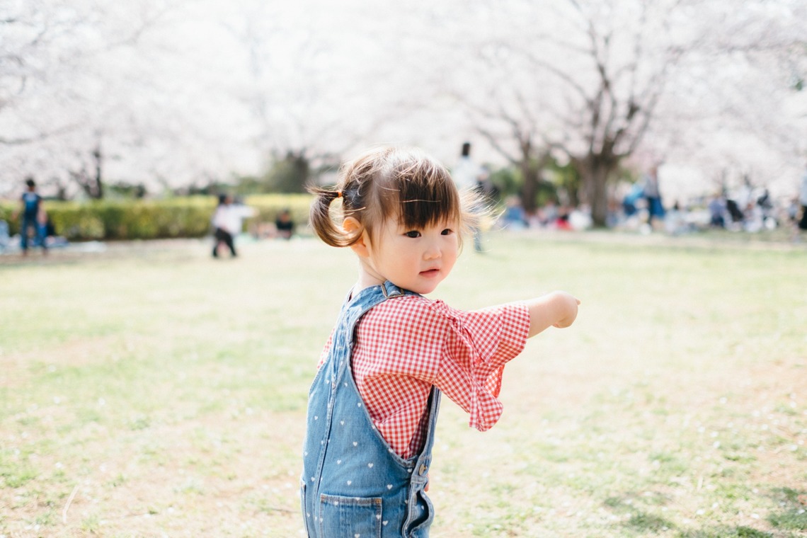 高野和希が撮影した写真のアルバム「桜での家族フォト」