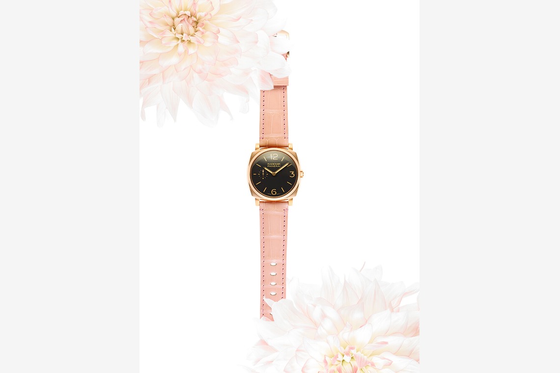 Level 1 studioが撮影した「Ken Mizoguchiポートフォリオ」の写真