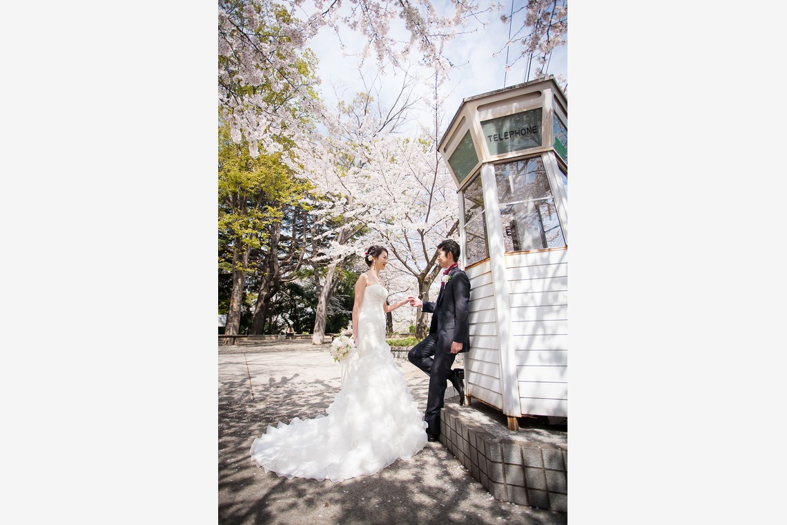 フォトグラフィカが撮影した写真のアルバム「フォトギャラリー」