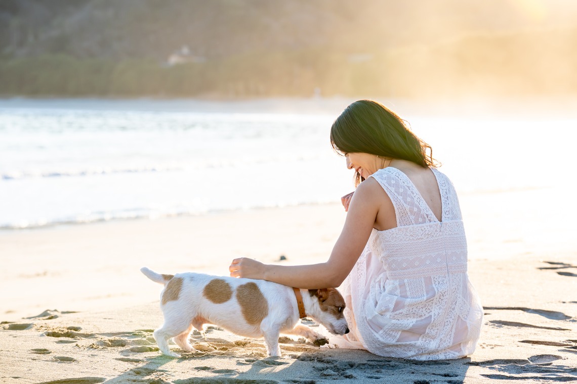 Peace-full photoが撮影した「ペット撮影」の写真