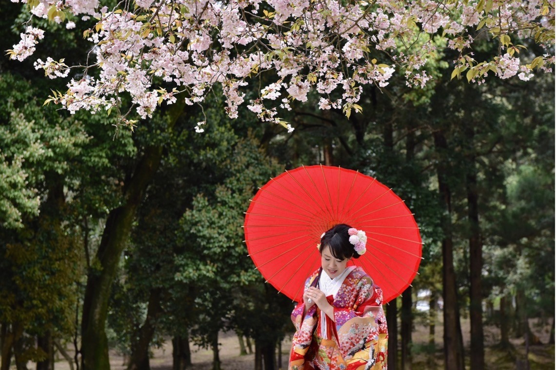 キキフォトワークスが撮影した「桜の季節の和装前撮り」の写真