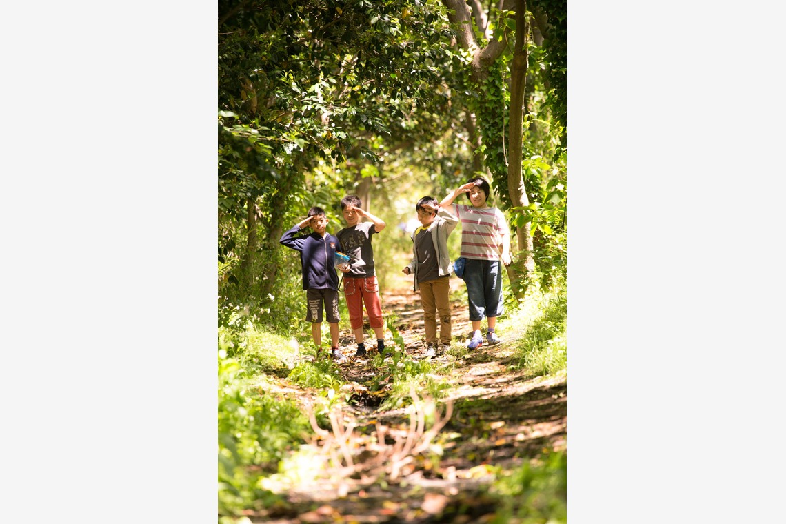 なかむーフォトが撮影した「サマーキャンプ」の写真