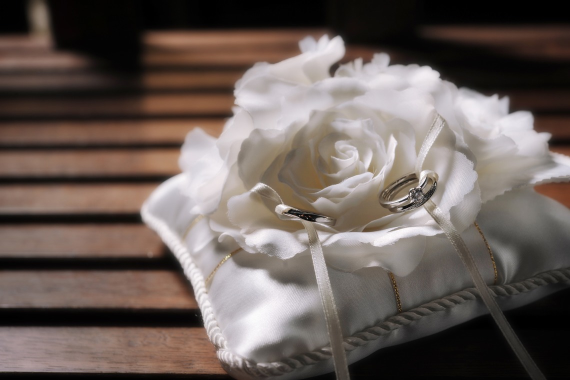 NINA Primary Pictures (苅谷 直樹)が撮影した「当日写真」の写真