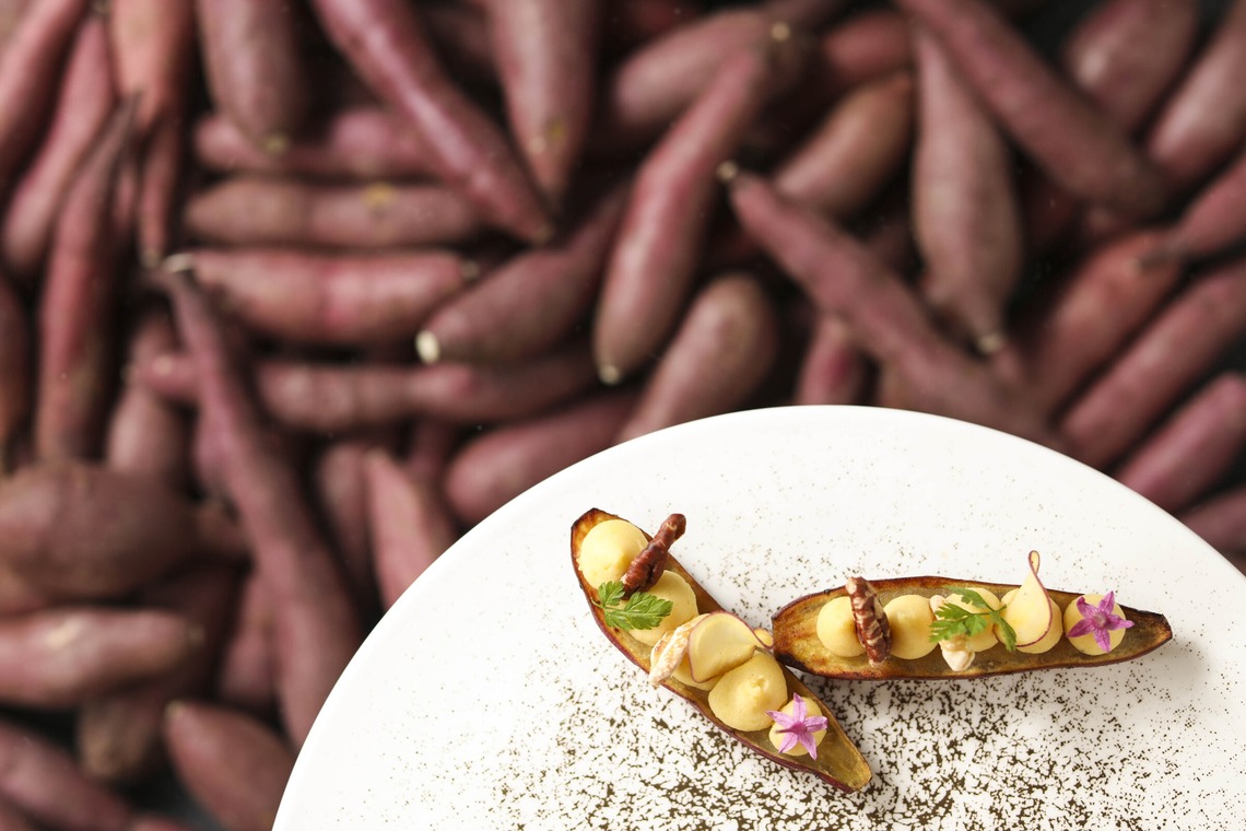 樋上孝典が撮影した写真のアルバム「料理撮影」