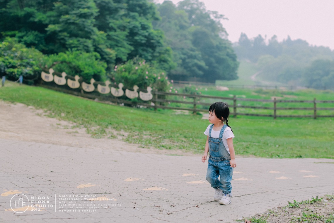 MF STUDIO Migoが撮影した「KeyKey家族の写真」の写真