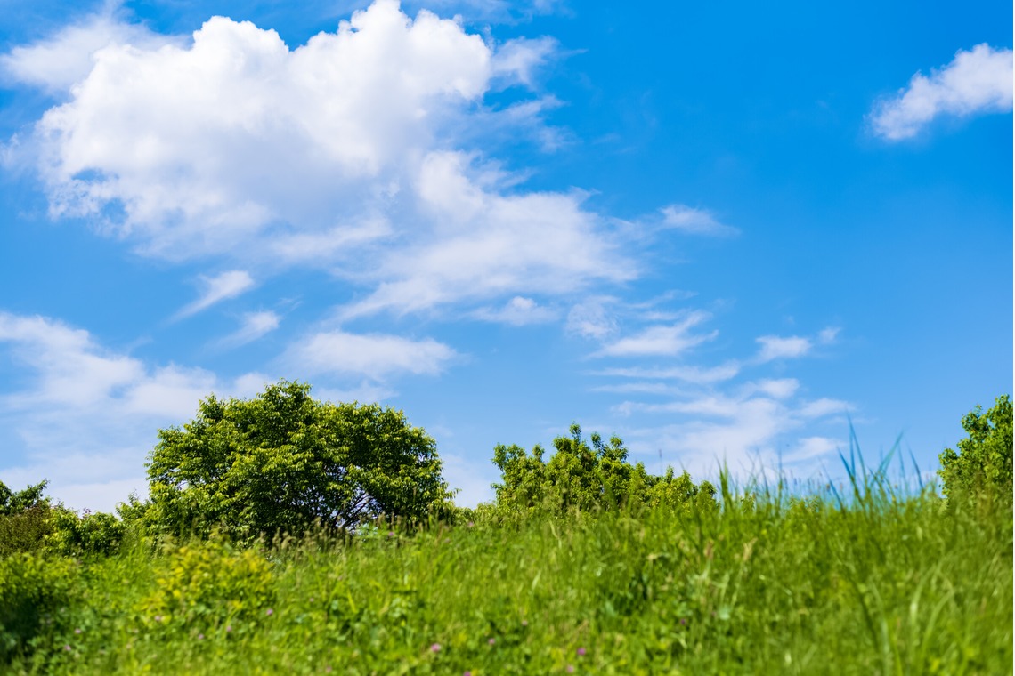 フォトスタジオ　ちっくたっくが撮影した写真のアルバム「風景」