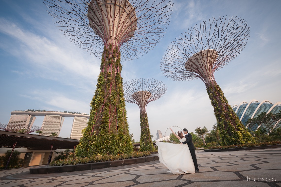 Truphotosが撮影した「シンガポール」の写真