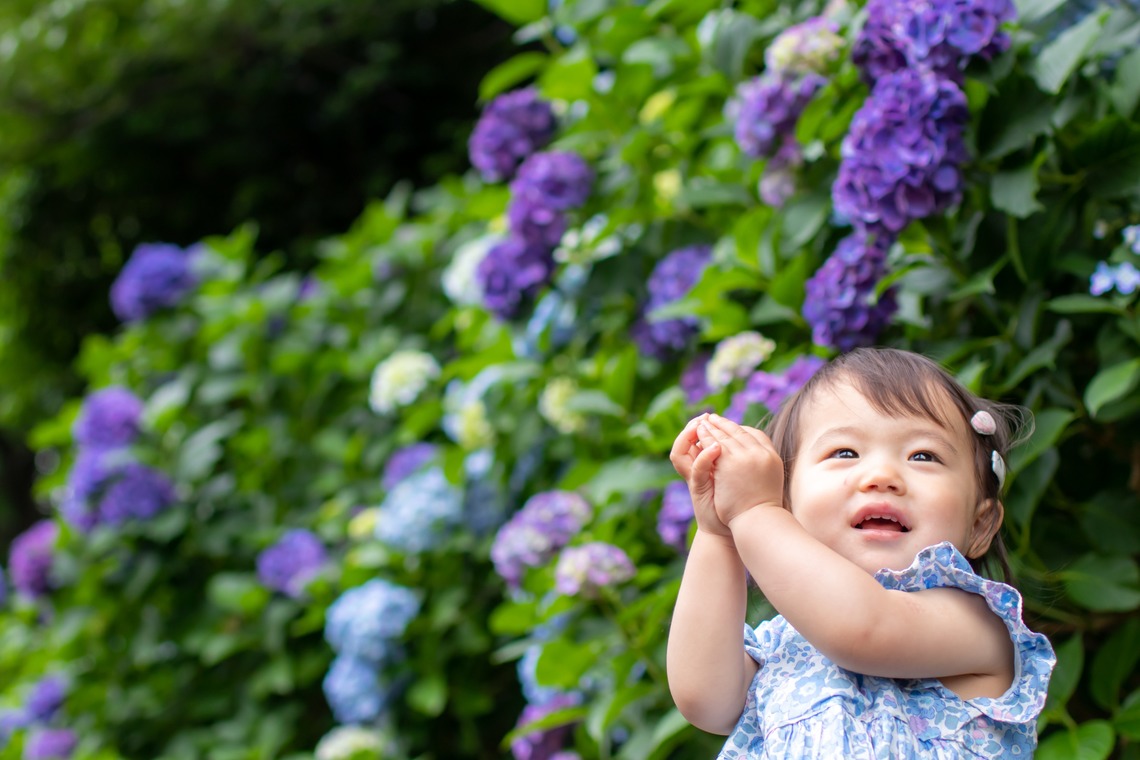 かわもとえつこが撮影した写真のアルバム「ファミリーフォト」