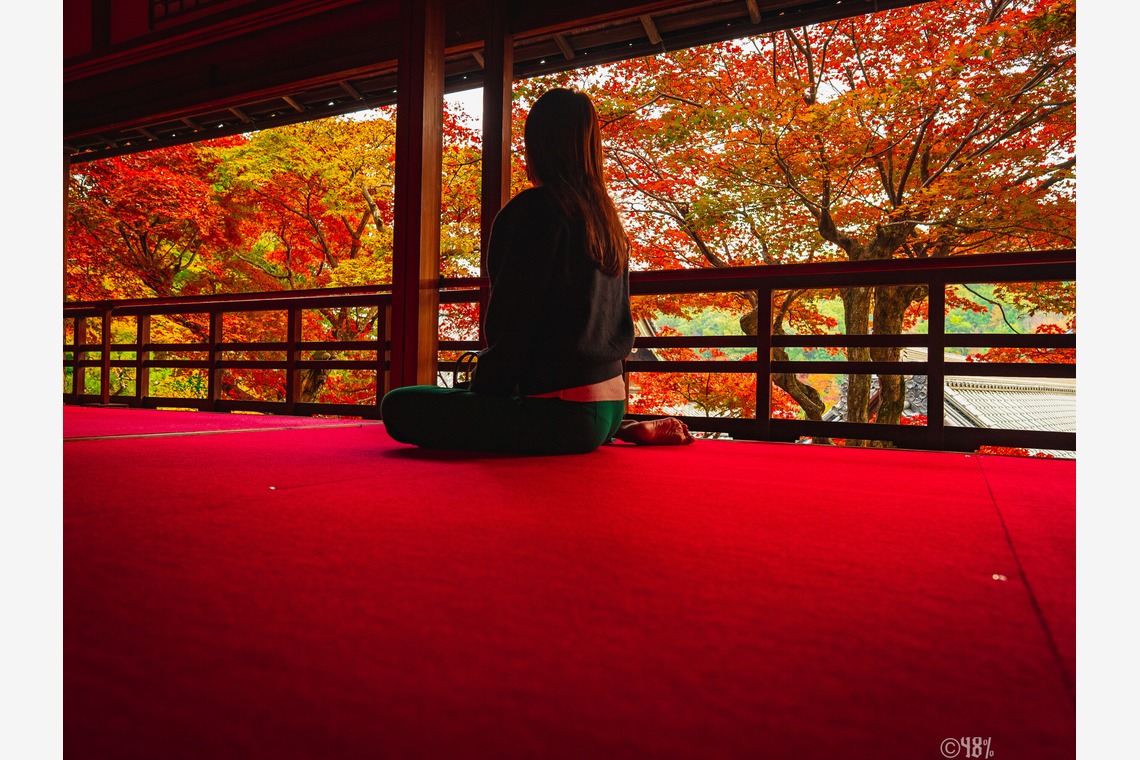 NocapVPGが撮影した「48％」の写真