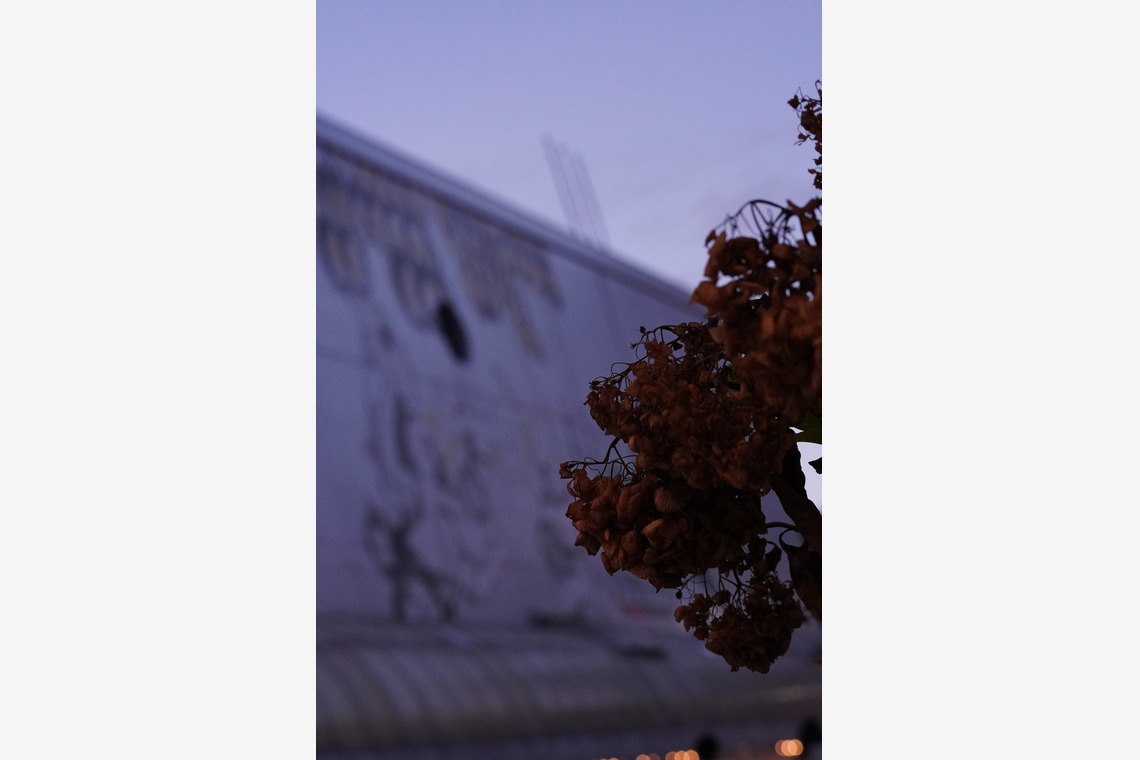 細部　歩が撮影した「風景等」の写真