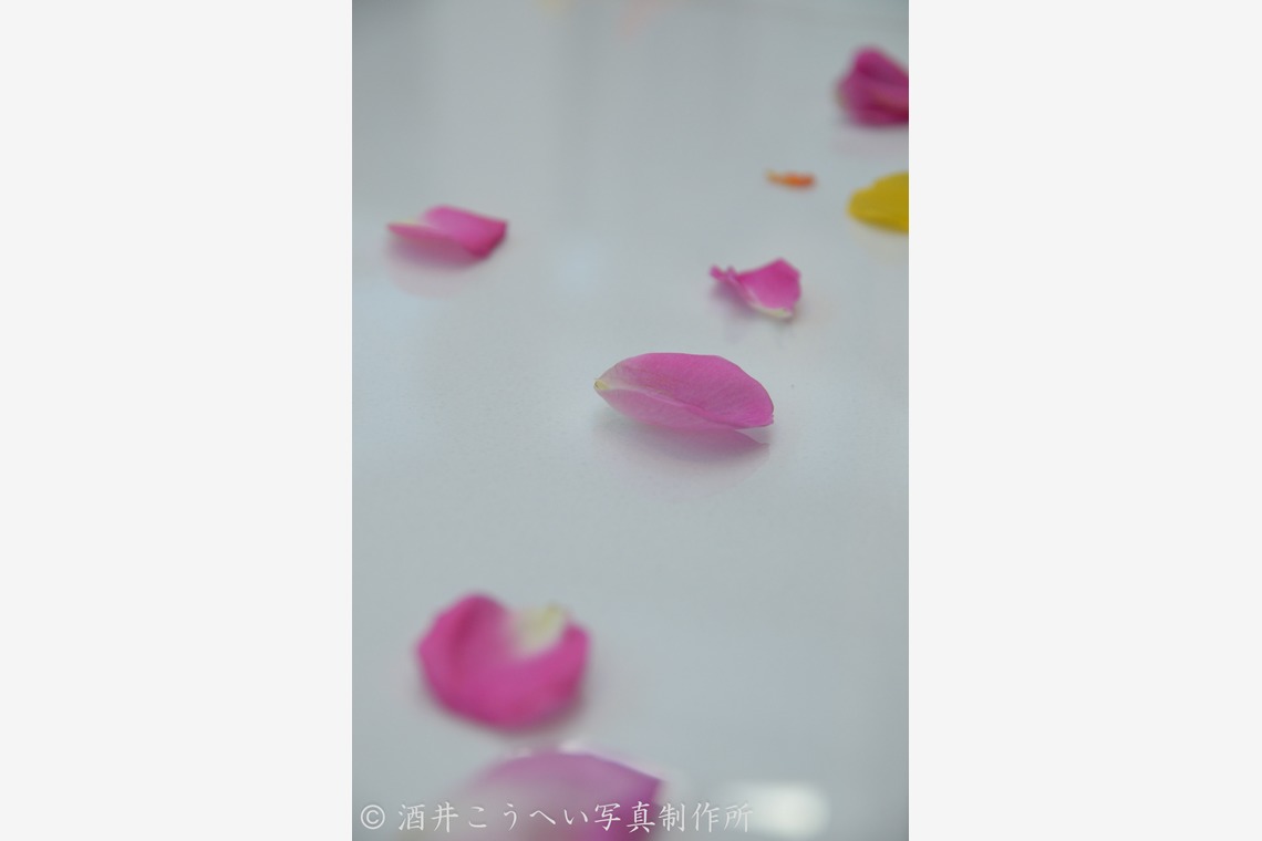 酒井こうへい写真製作所が撮影した「挙式披露宴当日撮影」の写真