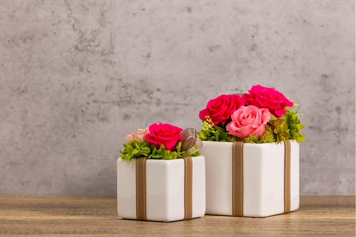 Minminが撮影した写真のアルバム「商品撮影」