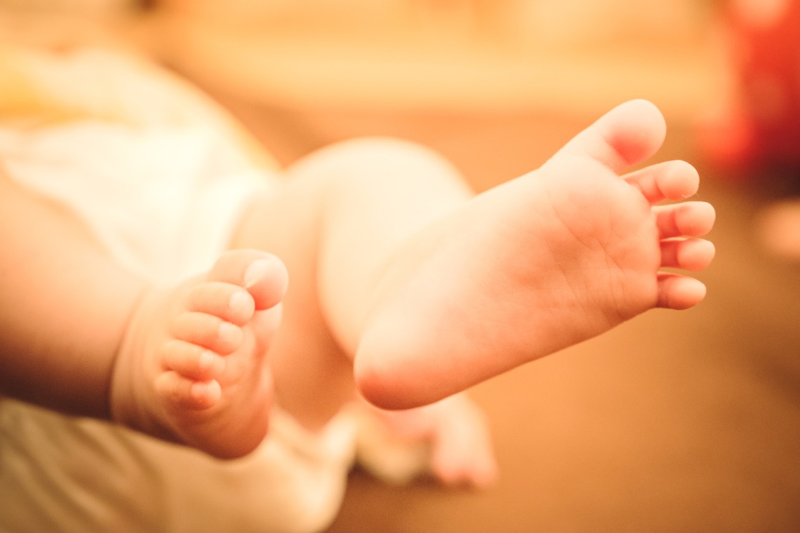 Hikaru Sudaが撮影した写真のアルバム「ファミリーフォト」