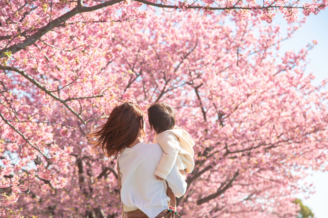 ゆのみふぉとが撮影した「桜とお写真」の写真