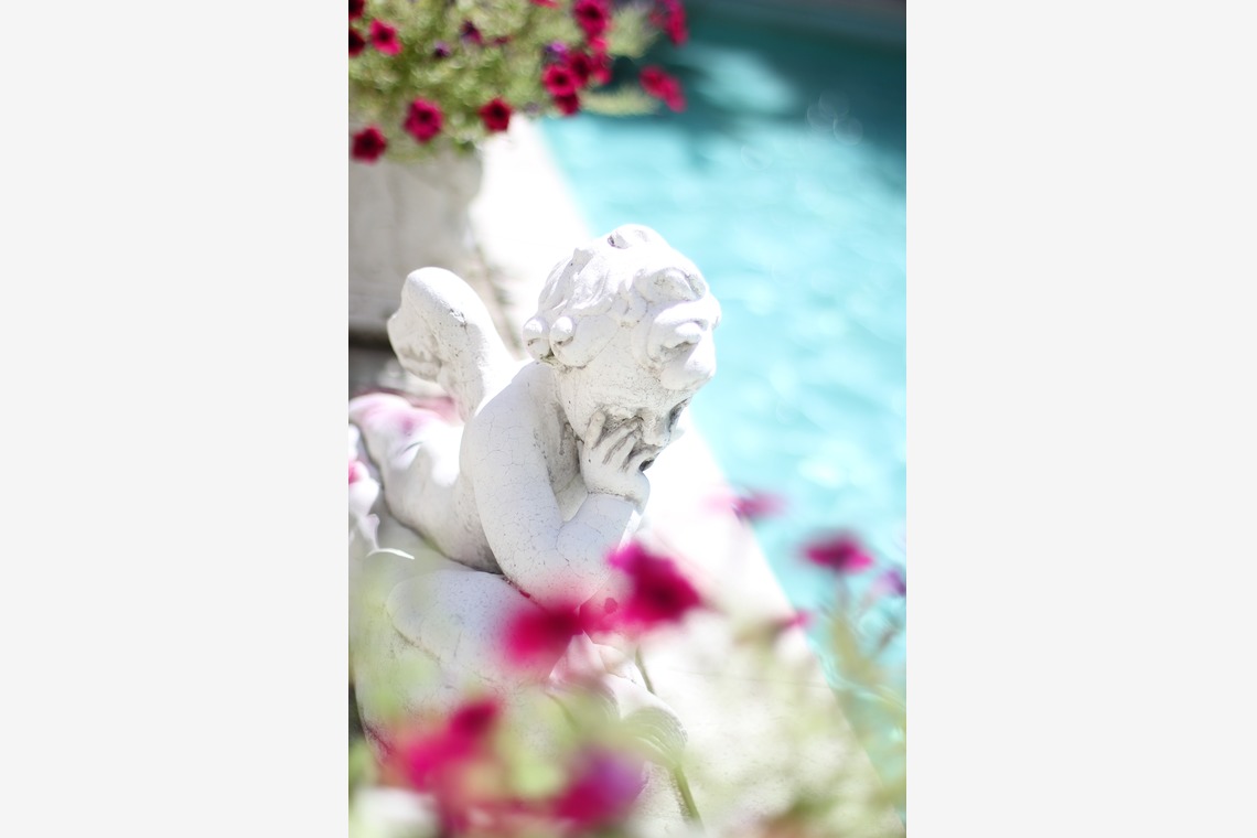 管野　利が撮影した写真のアルバム「ウエディング」