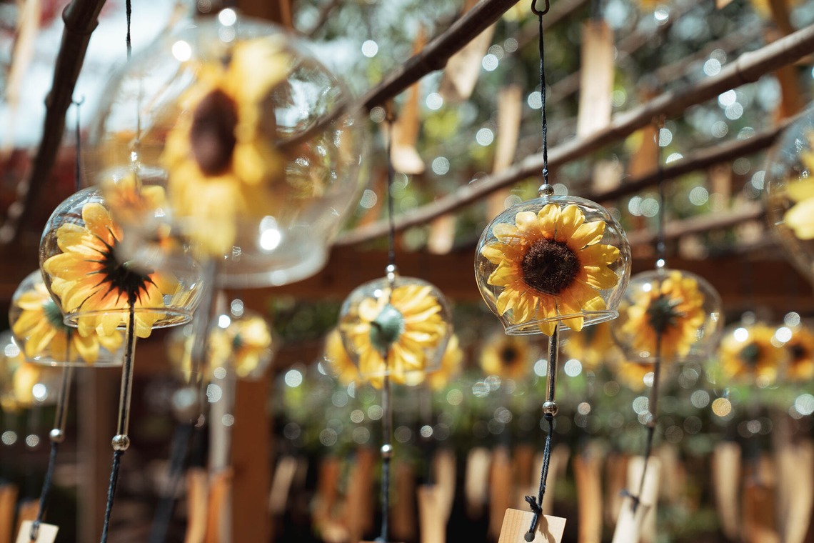 三谷 朋也が撮影した「日本の風景」の写真