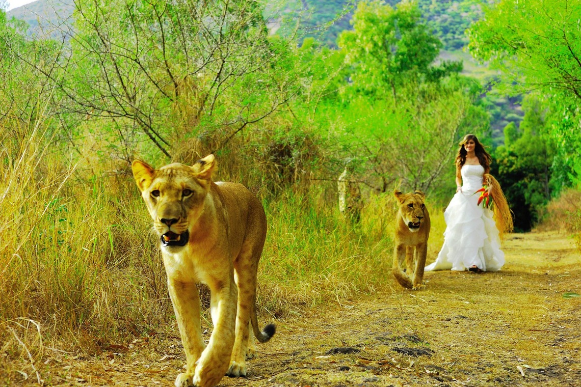 今林 浩一が撮影した「モーリシャス」の写真