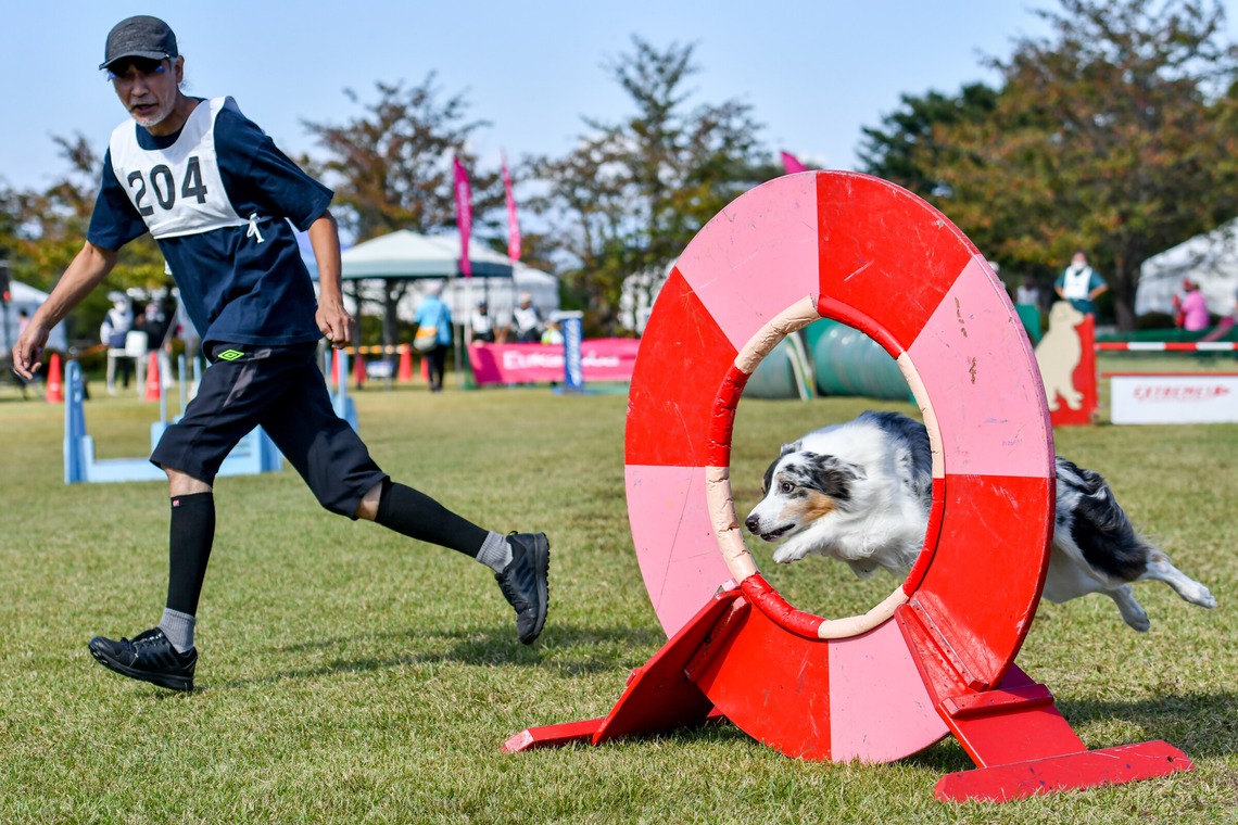 スタジオファンタスが撮影した「ドッグスポーツエクストリーム」の写真