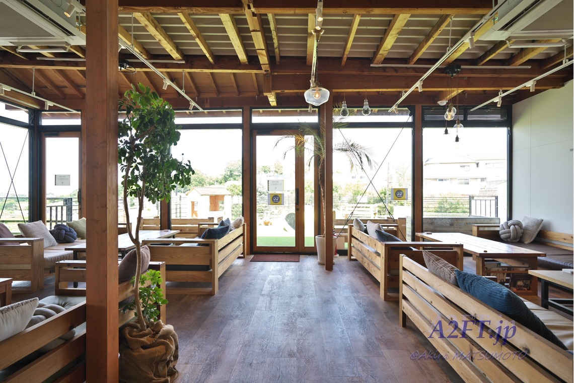 A2FT.jpフォトグラファーまつもとあきらが撮影した「2020年9月 kino-cocochi様」の写真