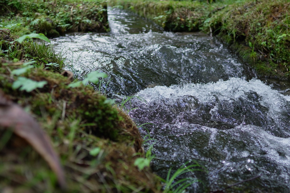 細部　歩が撮影した「風景等」の写真