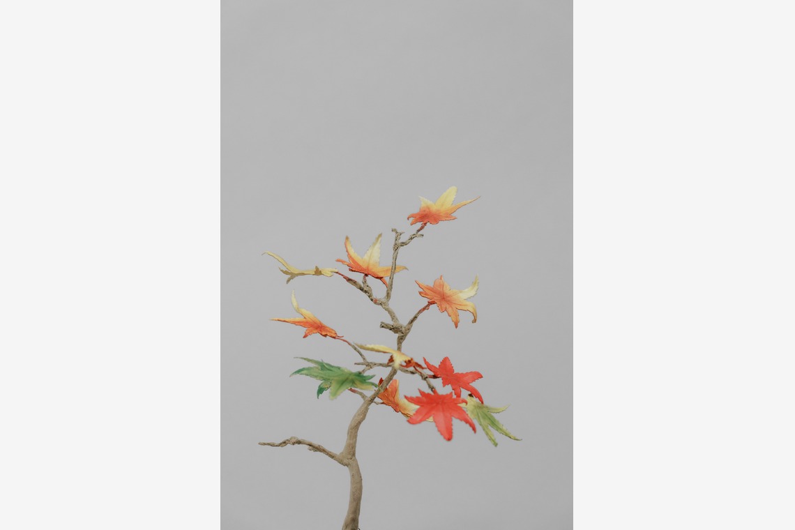 studio9thが撮影した写真のアルバム「埼玉県川越市/革盆栽」